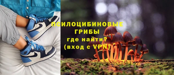 молекула духа Михайловск