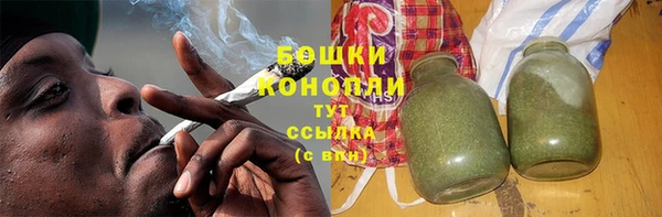 сатива Надым