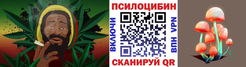 Галлюциногенные грибы Cubensis  это официальный сайт  Нариманов 
